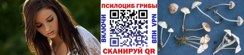 kraken маркетплейс  купить наркотик  Хилок  Галлюциногенные грибы Cubensis 