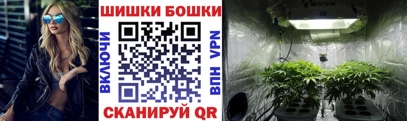 хочу   Хилок  Шишки марихуана сатива 